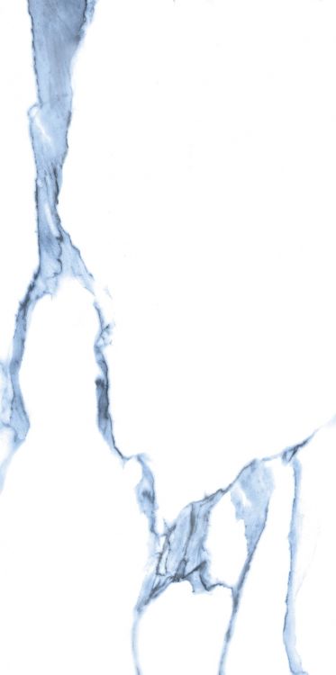 Calacatta Blue Matte 12 x 24